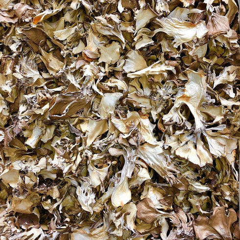 ORGANIC MAITAKE MUSHROOM, dried, whole